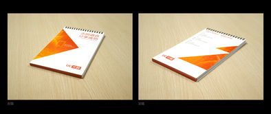 平面設(shè)計(jì) 從概念到視覺傳達(dá)的藝術(shù)總結(jié)