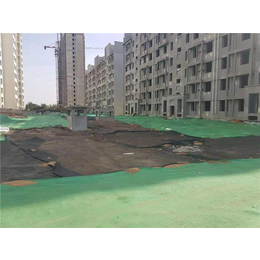 唐能種植屋面虹吸排水收集系統(tǒng) 為城市建筑注入綠色動力